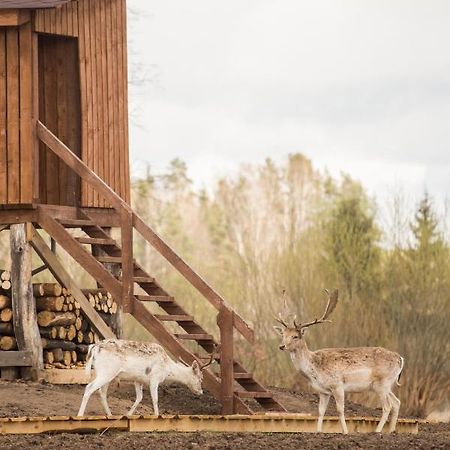 Arciau Gamtos Anyksciai Villa Kurkliai Eksteriør bilde