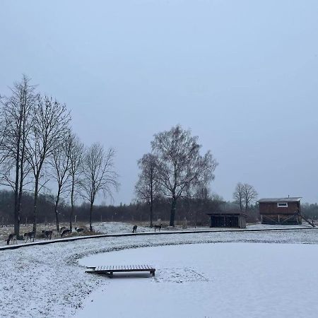 Arciau Gamtos Anyksciai Villa Kurkliai Eksteriør bilde