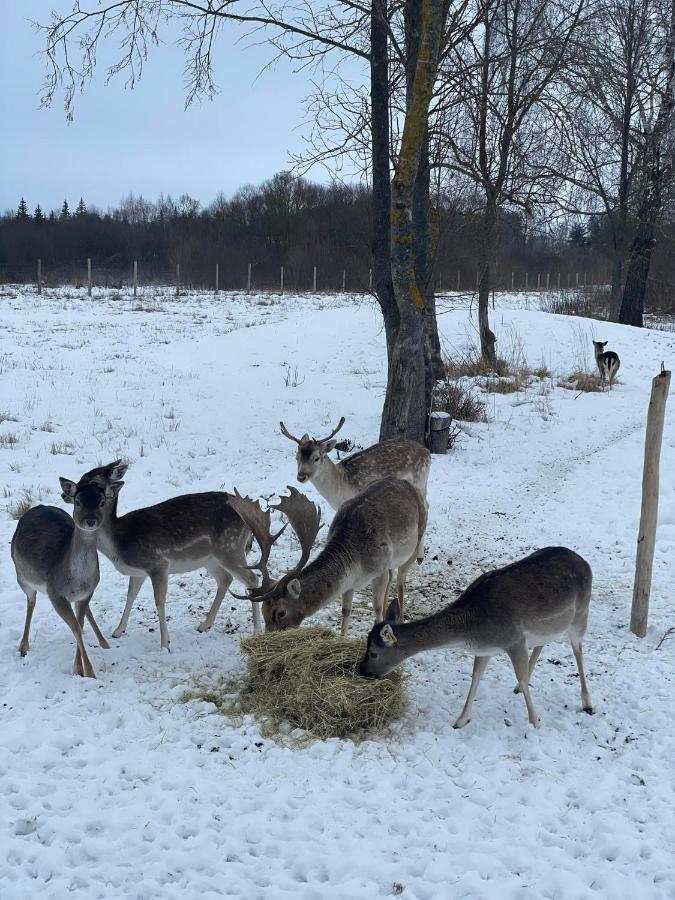 Arciau Gamtos Anyksciai Villa Kurkliai Eksteriør bilde