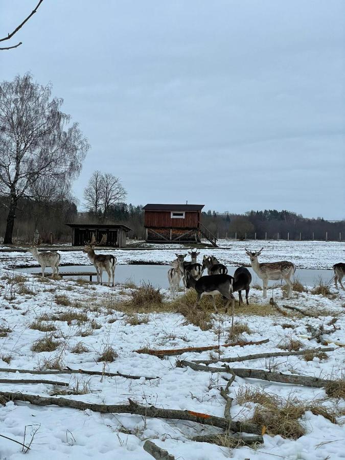 Arciau Gamtos Anyksciai Villa Kurkliai Eksteriør bilde