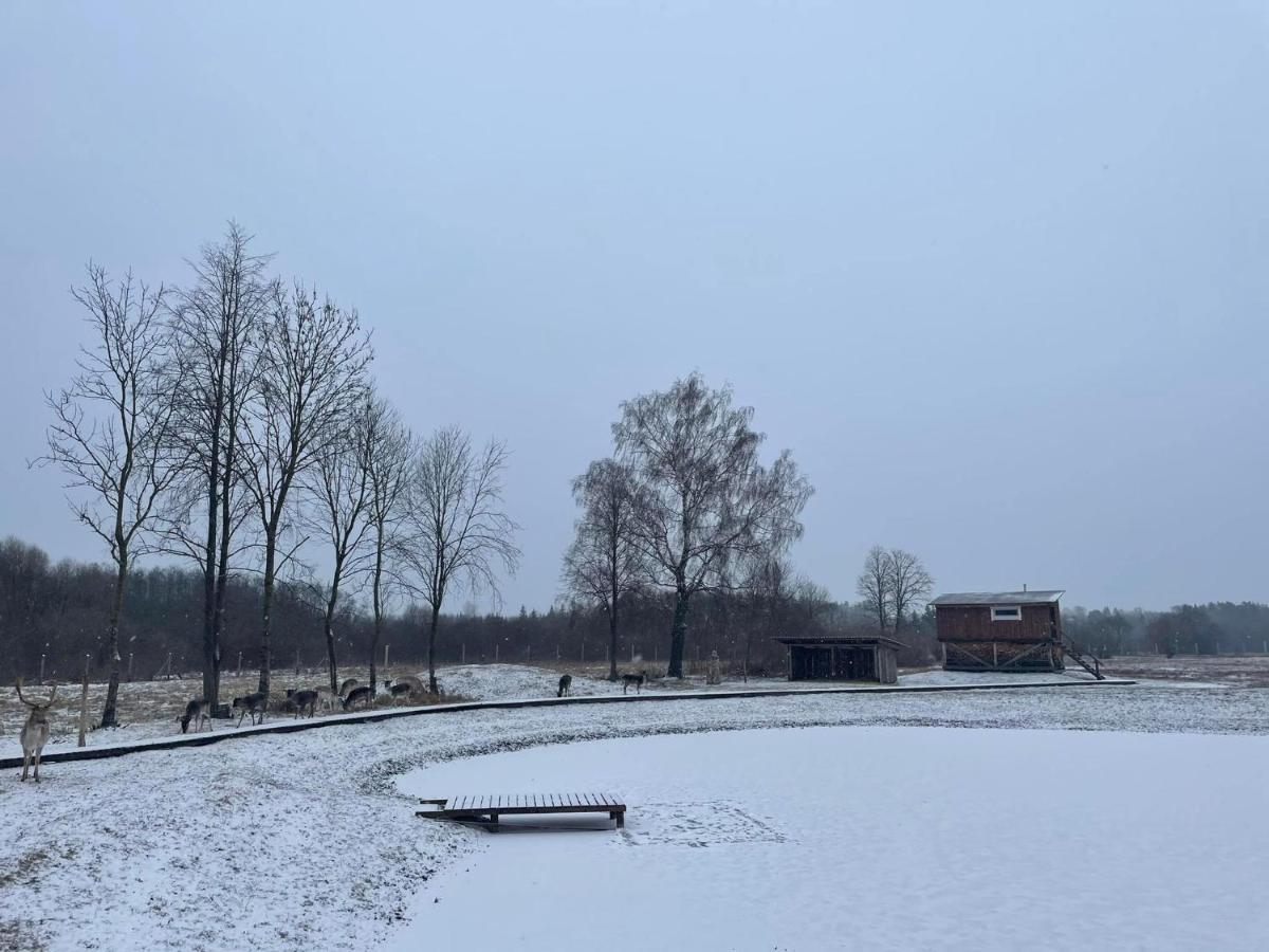 Arciau Gamtos Anyksciai Villa Kurkliai Eksteriør bilde